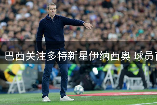 巴西关注多特新星伊纳西奥 球员首选意大利国家队