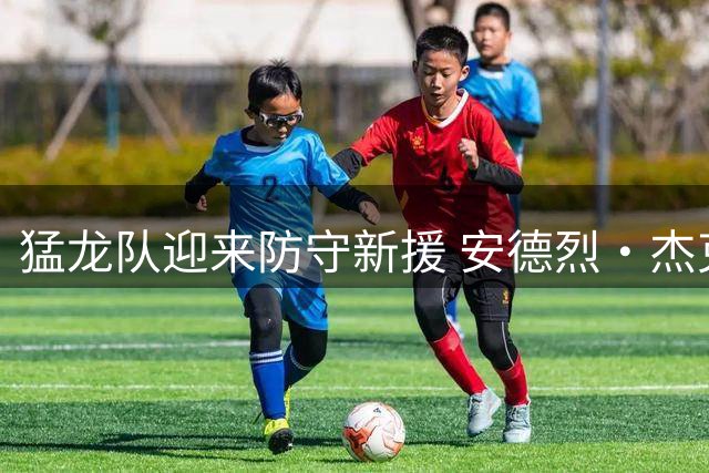 猛龙队迎来防守新援 安德烈·杰克逊签订特殊训练合同